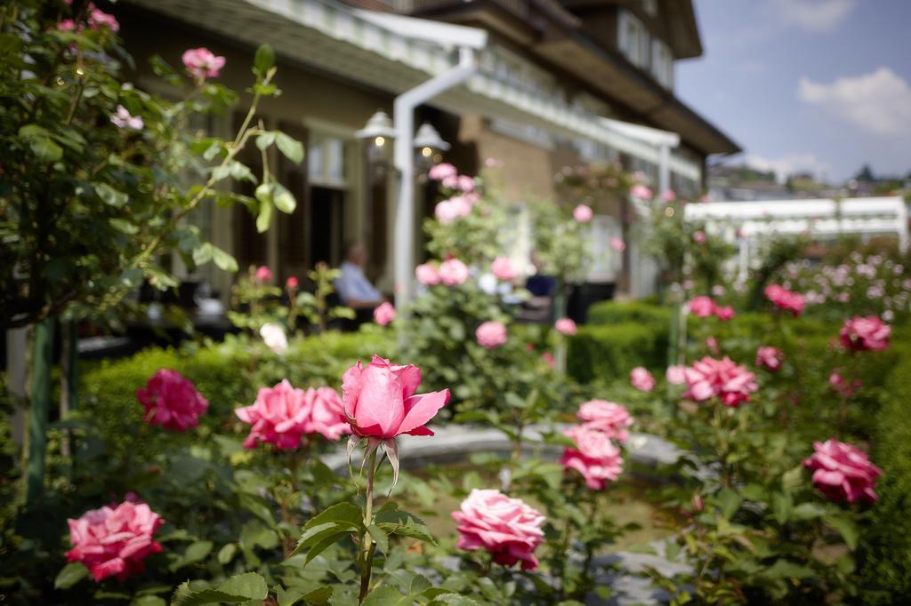 Landgasthof Hotel Roessli Ebikon Dış mekan fotoğraf